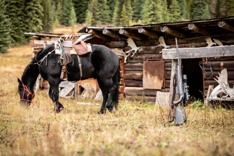 Hunting mountain goat