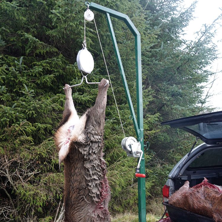 Deer hoist