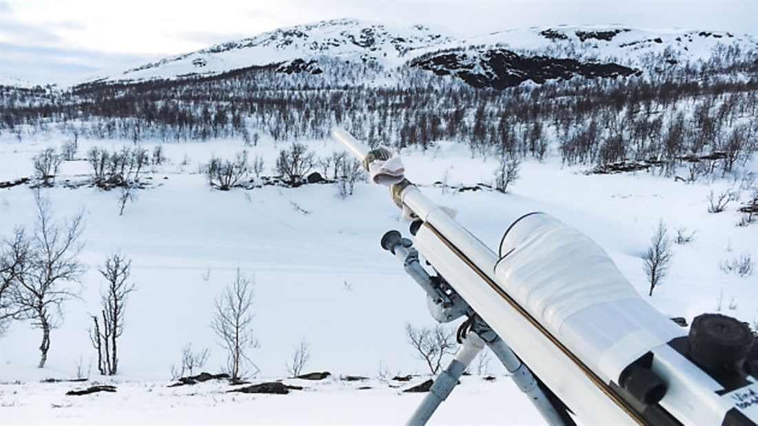 Ulf Lindroth hunts red foxes &#8211; Sweden