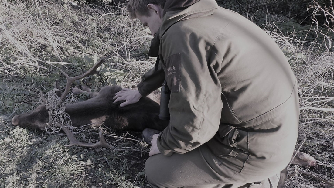 Hunting photos: how to tell the whole story