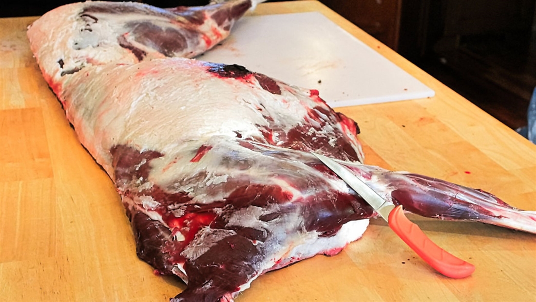 NGDA to only accept lead-free venison &#038; boar from July 2022