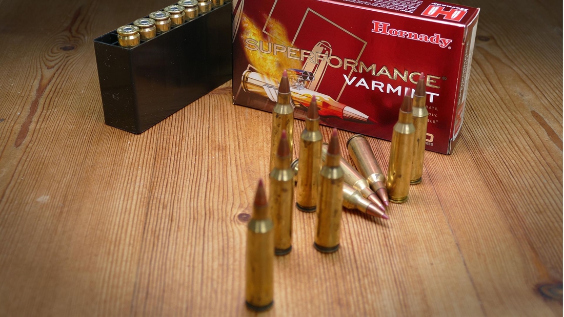 Ammunition test: Hornady Superformance Varmint