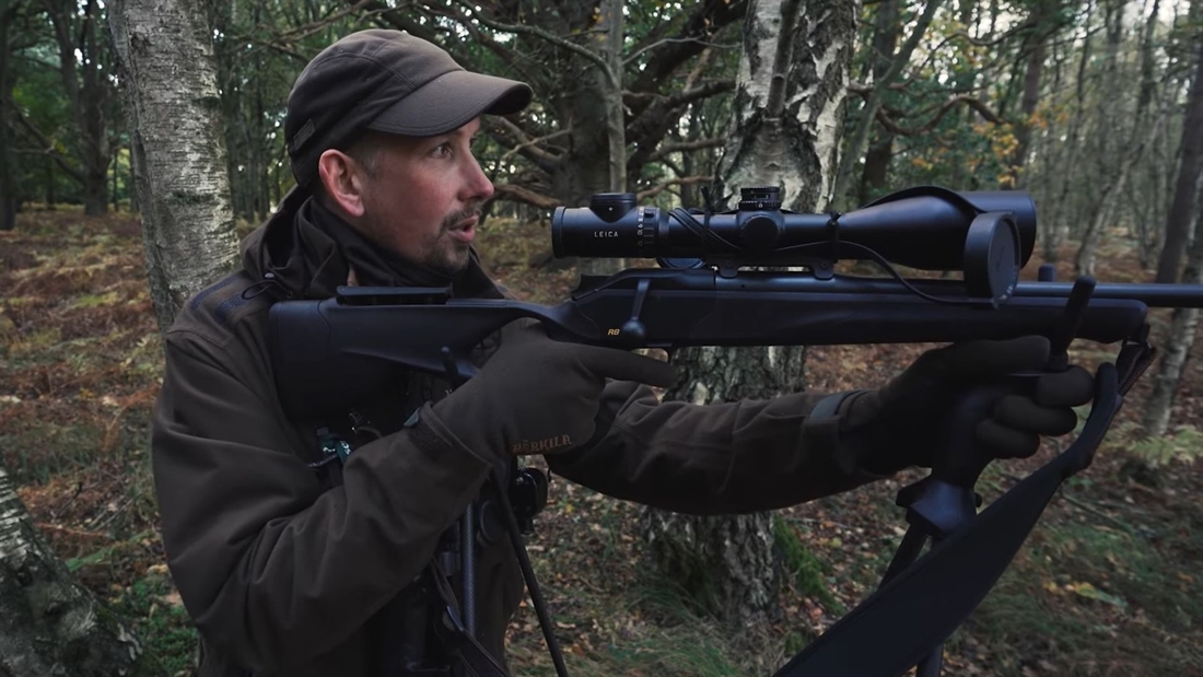 Watch: lowland red deer management in action