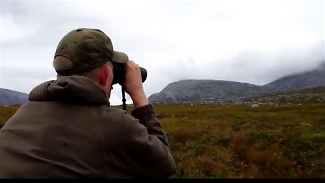 *VIDEO* Fieldsports Britain &#8211; fallow stalks and a MacNab