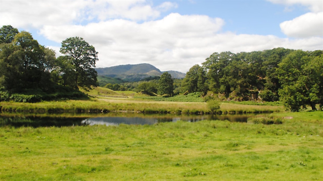 What will 2017 bring for the countryside? Tim Bonner reports