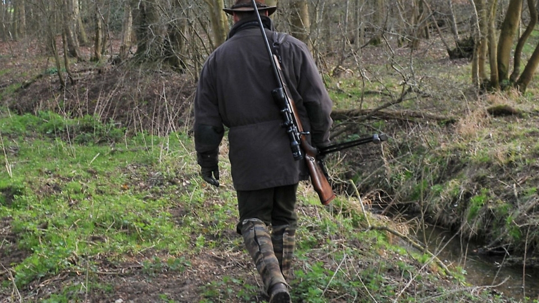 Rifle set-up for deer and foxes