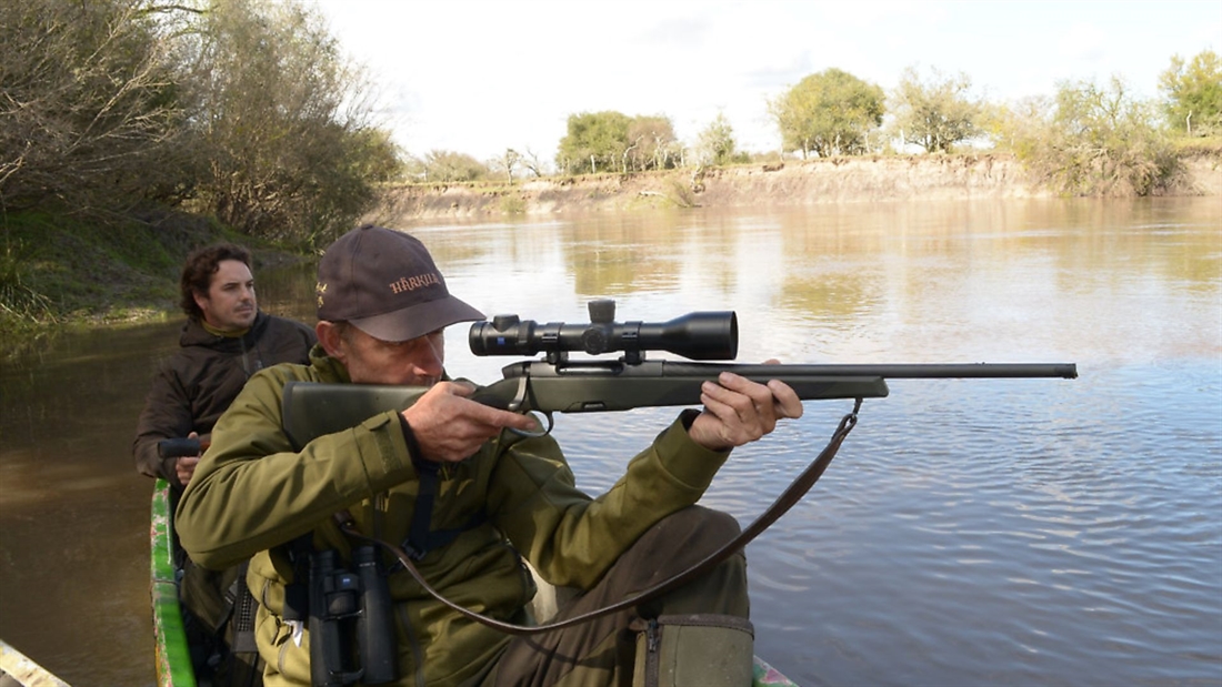 Sun and Steyrs &#8211; hunting axis deer in Argentina