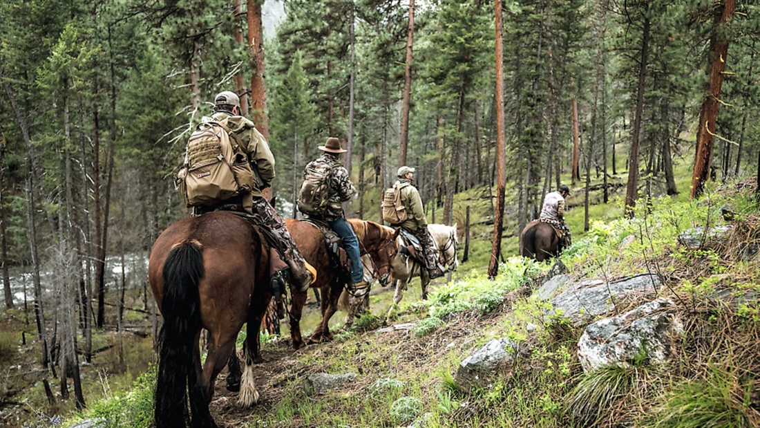 Stalking black bear in Idaho