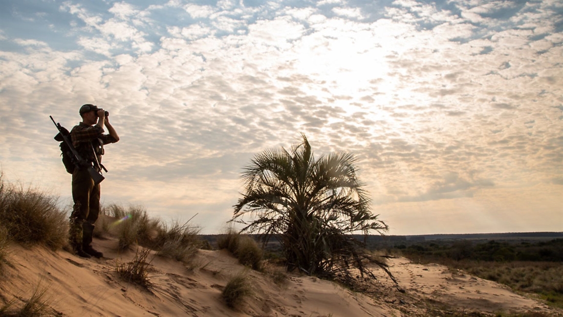 Hunting axis deer in Argentina