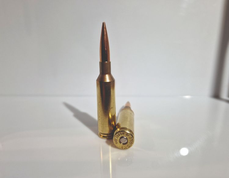 bullet 