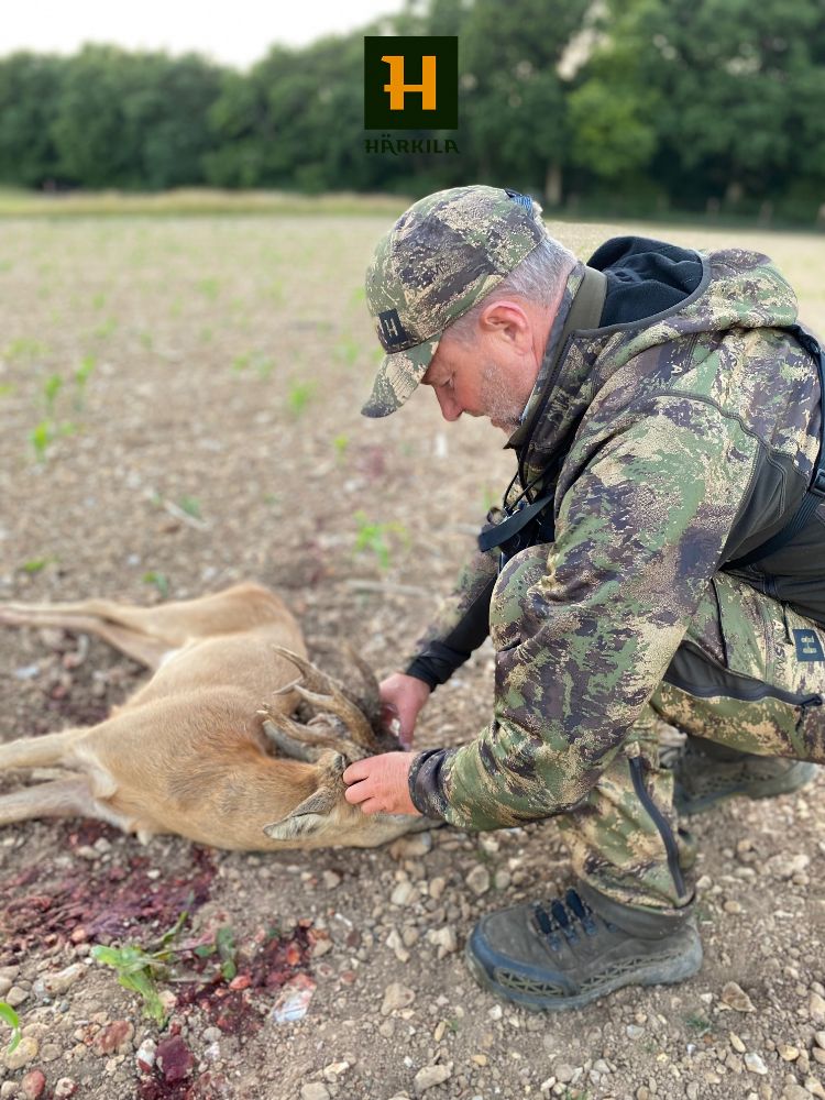 Is this the world's biggest roe buck?