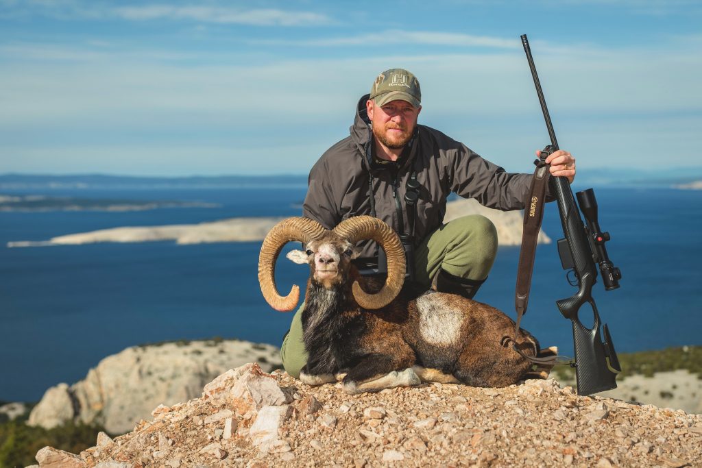Adriatic Mouflon Hunt in Croatia