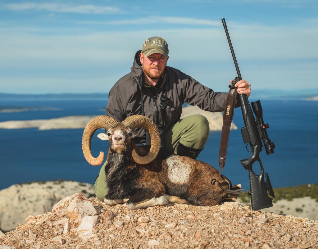 Adriatic mouflon hunt in Croatia