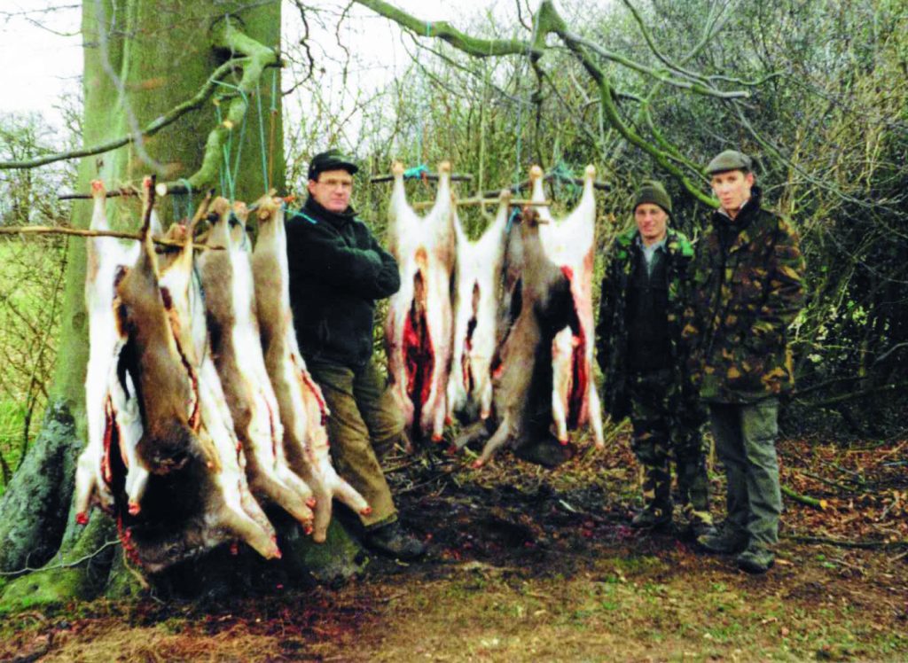 Deer mangers with cull animals