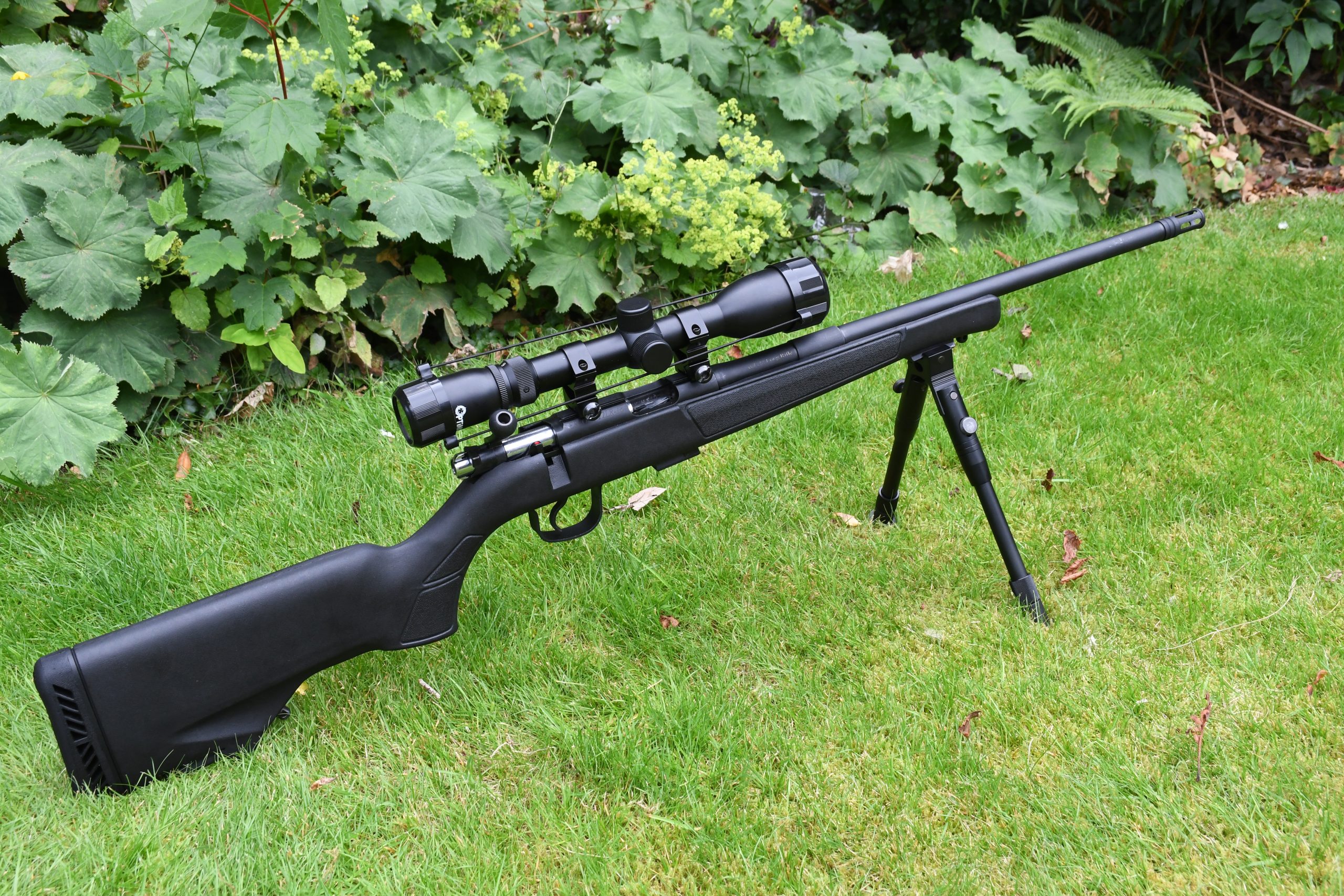 Hatsan Escort Rimfire (1)