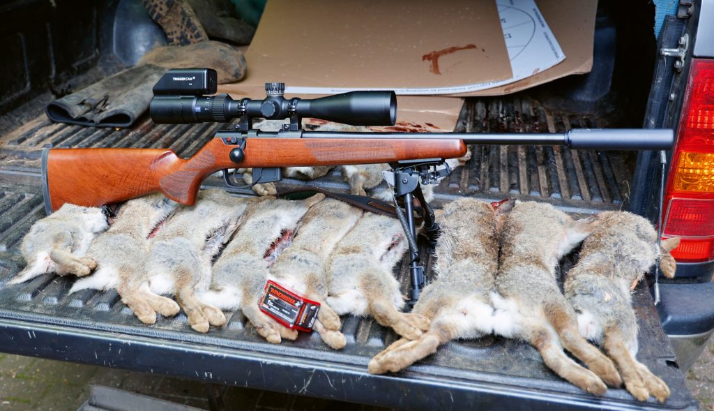 Rabbits shot with Anschutz 1761 Classic rifle