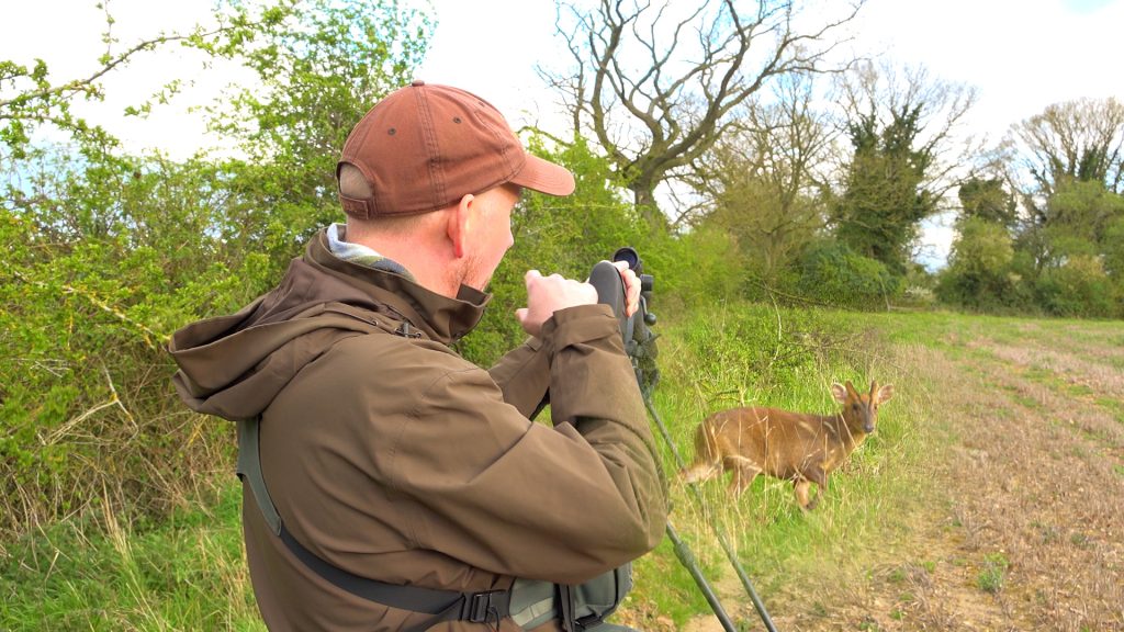 Assessing roebuck heads and testing the new Blaser Professional 2.0 rifle stock